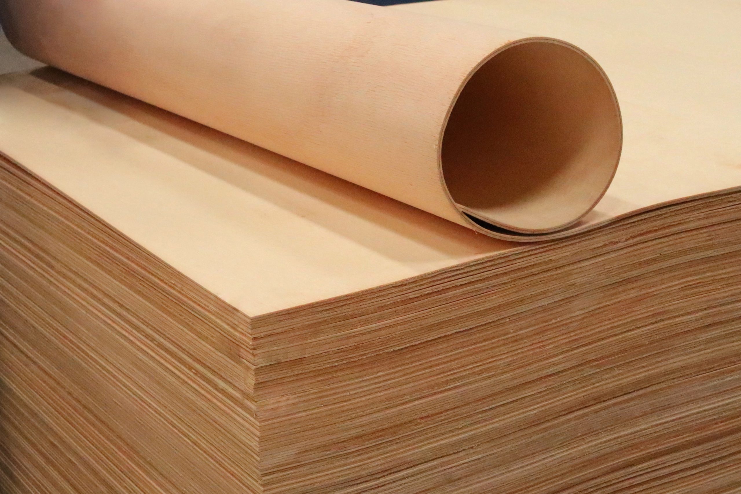 Bending Plywood - Plywood Melengkung