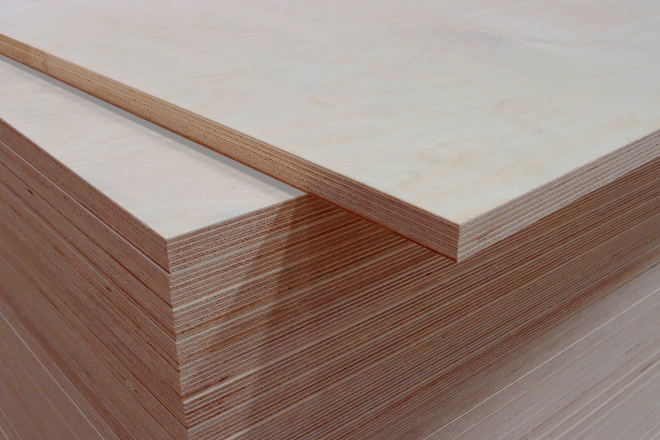 Birch plywood untuk furniture dengan serat kayu halus dan konsisten